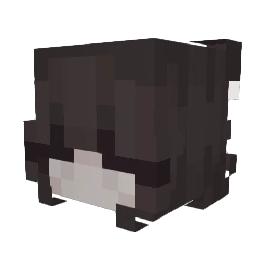 3Jane Minecraft avatar head, 3D render