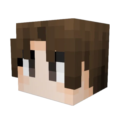 3LJX Minecraft avatar head, 3D render