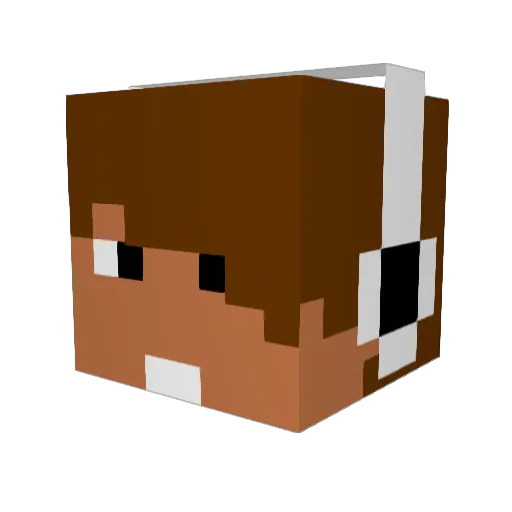 3LegDog Minecraft avatar head, 3D render