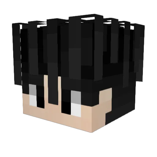 3Li Minecraft avatar head, 3D render