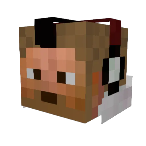 3MooR989 Minecraft avatar head, 3D render