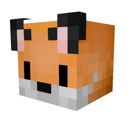 3NVIXETY Minecraft avatar head, 3D render