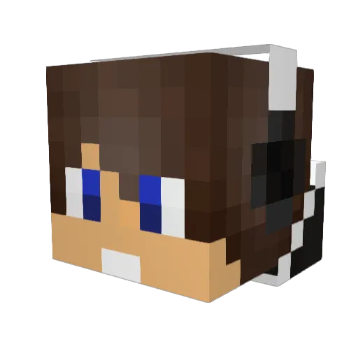 3Questionmarks_ Minecraft avatar head, 3D render