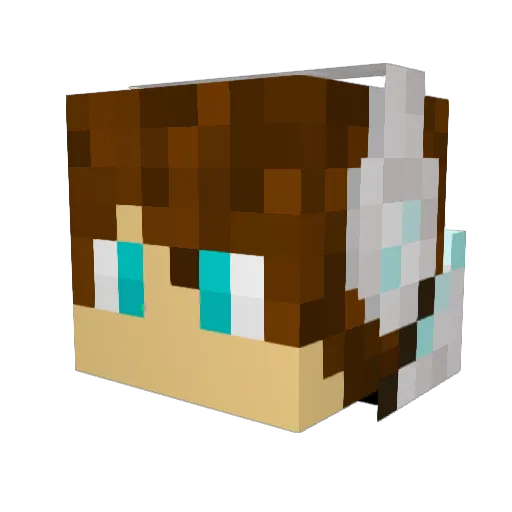 3Walts Minecraft avatar head, 3D render