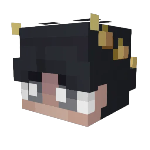 3Y1 Minecraft avatar head, 3D render