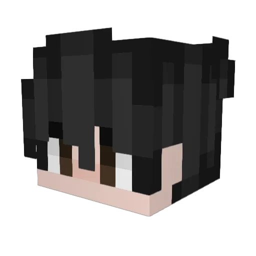 3Zx__ Minecraft avatar head, 3D render