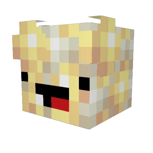 3_14poca Minecraft avatar head, 3D render