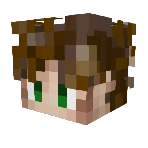 3_4nt0_3 Minecraft avatar head, 3D render