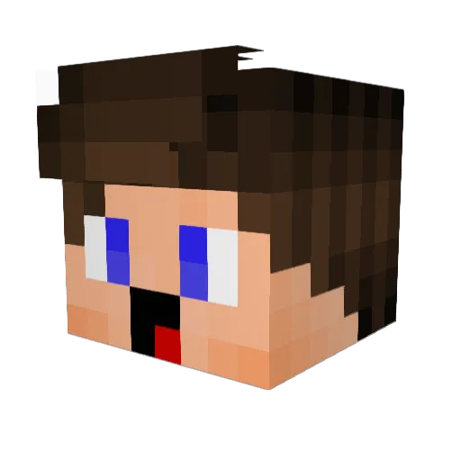 3_Echo Minecraft avatar head, 3D render
