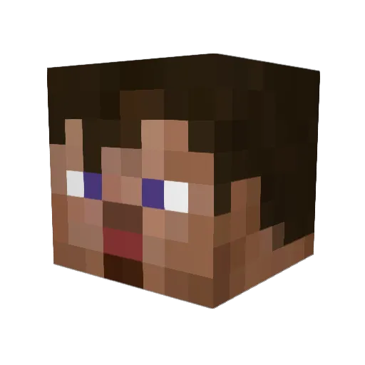 3_Fish Minecraft avatar head, 3D render