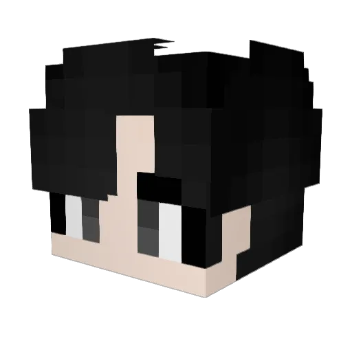 3_SH Minecraft avatar head, 3D render