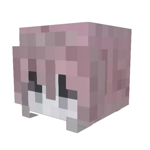 3_Trass Minecraft avatar head, 3D render