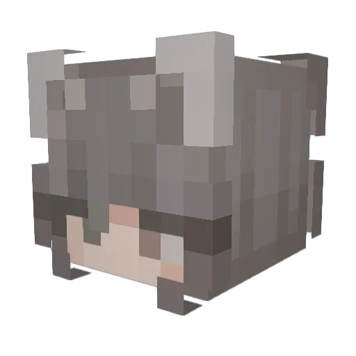 3a_33 Minecraft avatar head, 3D render