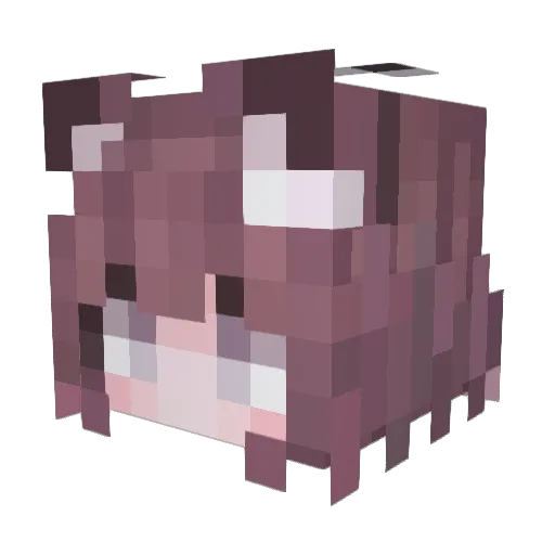 Minecraft-Avatar von 3annbu_Chi11: Kopf als 3D-Render