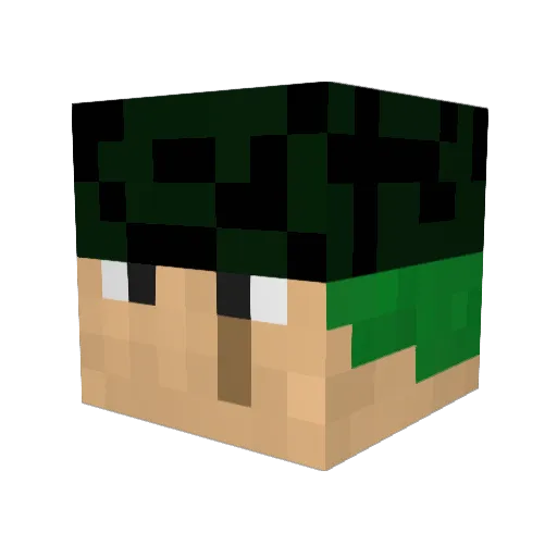 3beed3434 Minecraft avatar head, 3D render