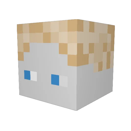 3daniel11 Minecraft avatar head, 3D render