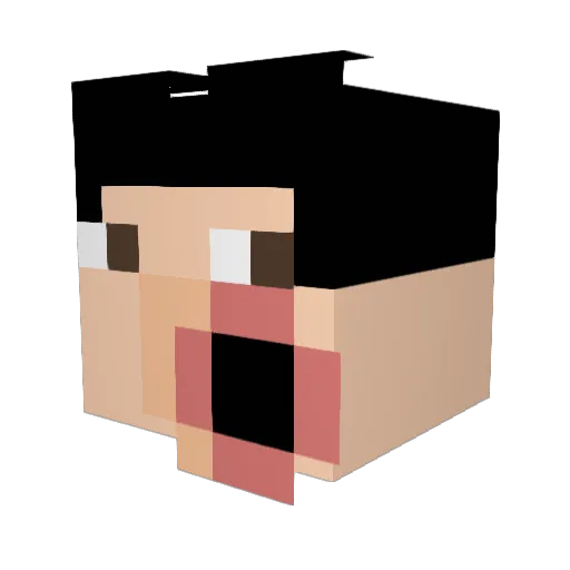 3doo3 Minecraft avatar head, 3D render