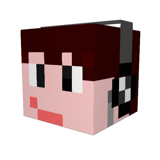 3doubleV Minecraft avatar head, 3D render