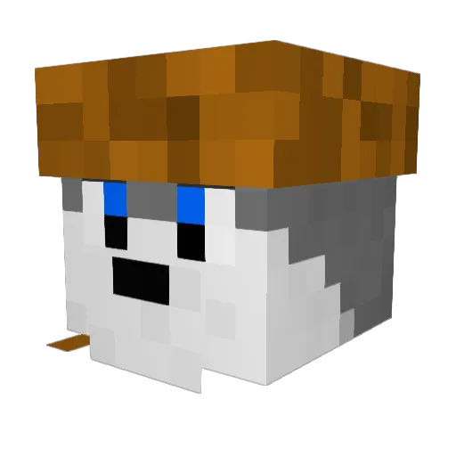 3duca Minecraft avatar head, 3D render