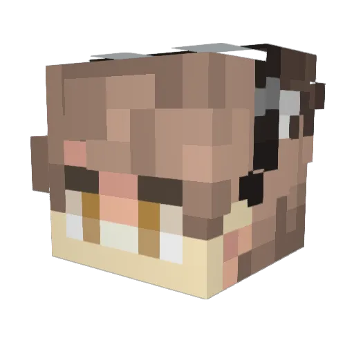 3exp Minecraft avatar head, 3D render