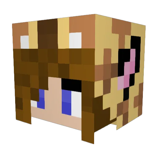 3ildcats Minecraft avatar head, 3D render