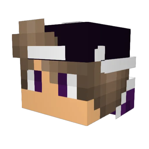 3lectroG31 Minecraft avatar head, 3D render