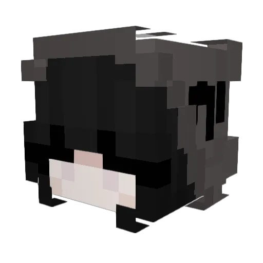 3llaa Minecraft avatar head, 3D render