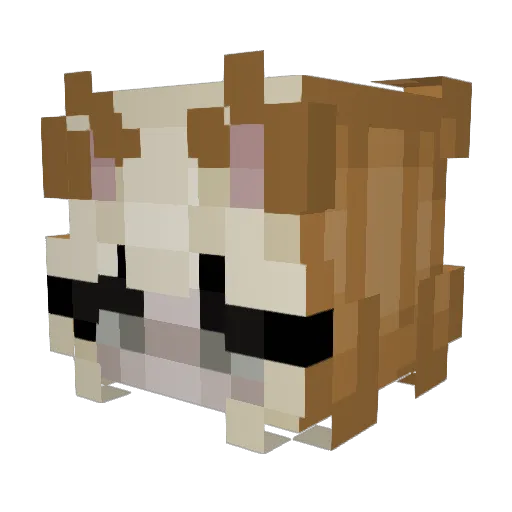 3llieBelly_ Minecraft avatar head, 3D render