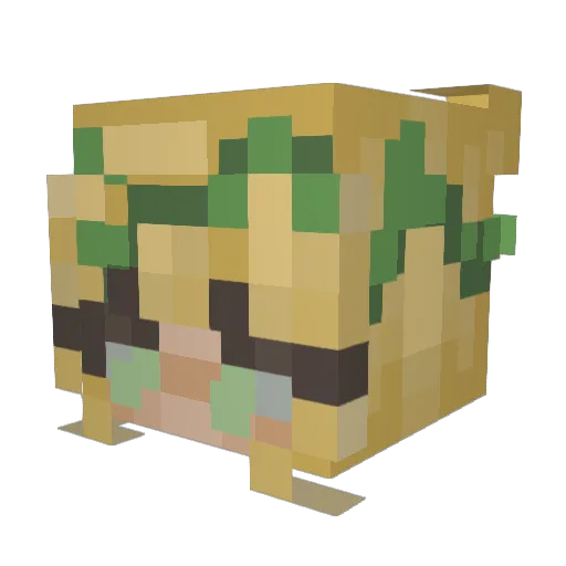 3lliee_ Minecraft avatar head, 3D render