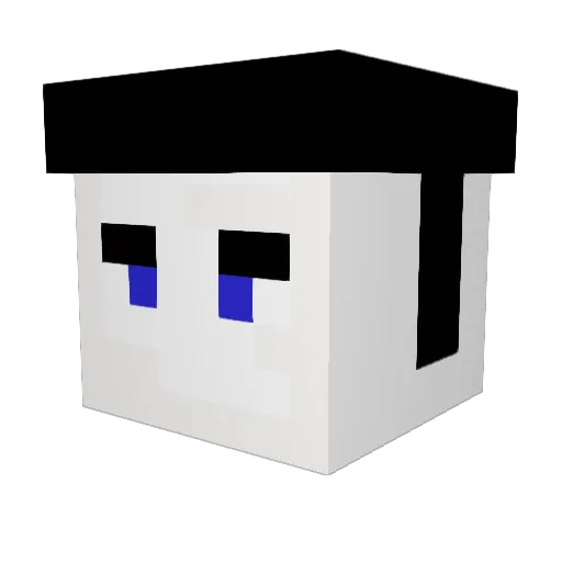 3lyTr4 Minecraft avatar head, 3D render