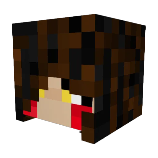 3m0_e1nst13n Minecraft avatar head, 3D render