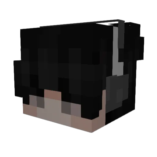 3m9 Minecraft avatar head, 3D render