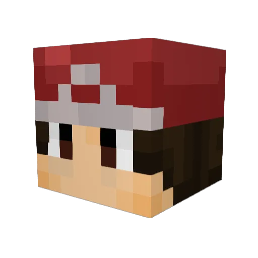 3nZiw1 Minecraft avatar head, 3D render