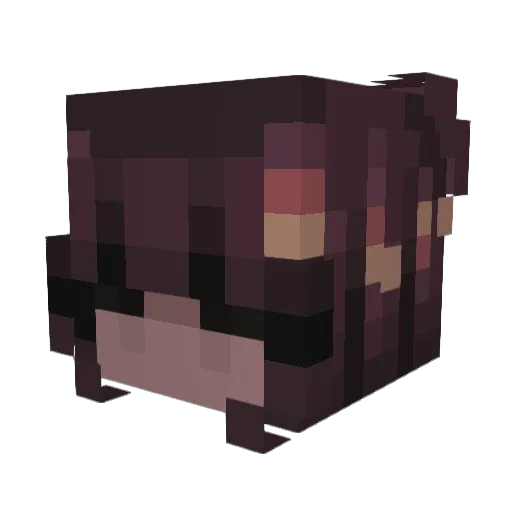 3nderF0xx Minecraft avatar head, 3D render