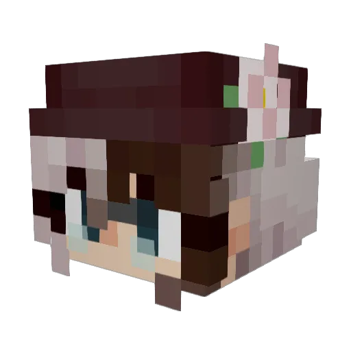 3nder_Fr0g Minecraft avatar head, 3D render