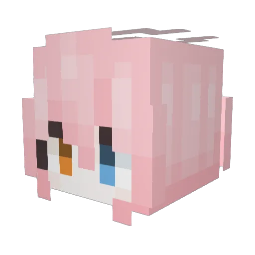 3nhxx Minecraft avatar head, 3D render