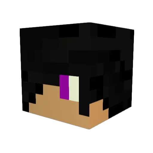 3p1kF4i1 Minecraft avatar head, 3D render