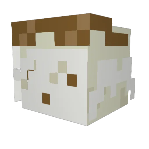 3peater Minecraft avatar head, 3D render