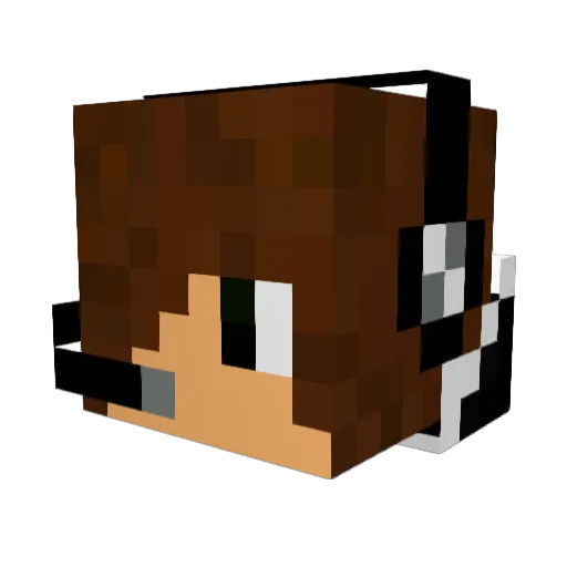 3picpi3 Minecraft avatar head, 3D render