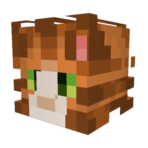 3quartsofflour Minecraft avatar head, 3D render