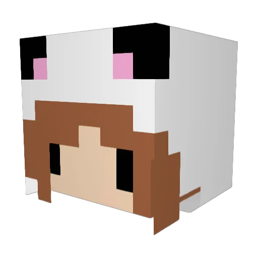 3rb_5p00k_v20 Minecraft avatar head, 3D render