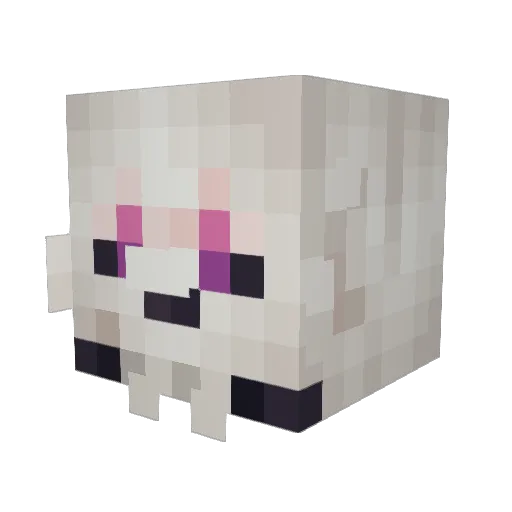 3rikanv Minecraft avatar head, 3D render