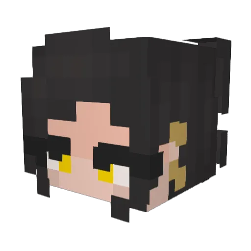 3rr0r508_ Minecraft avatar head, 3D render