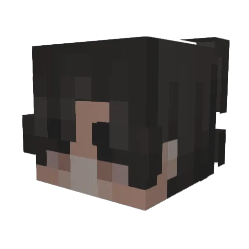 3s9 Minecraft avatar head, 3D render