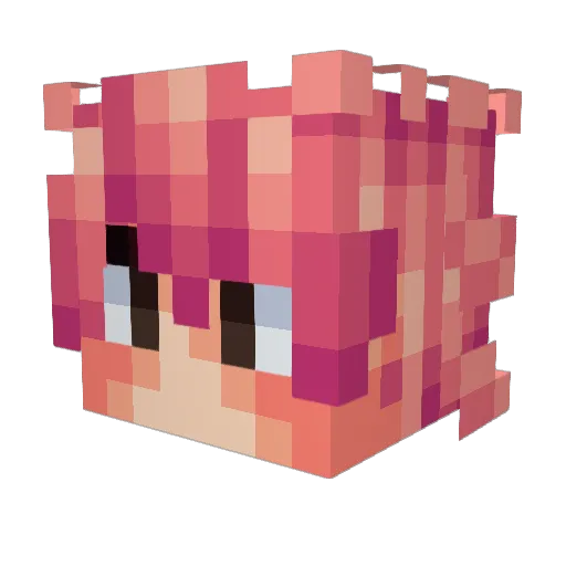 3shann Minecraft avatar head, 3D render