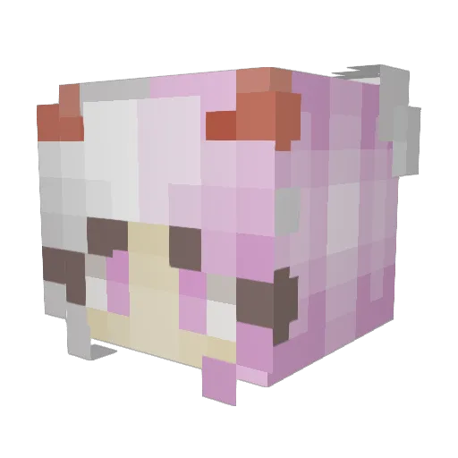 3silentwolf Minecraft avatar head, 3D render