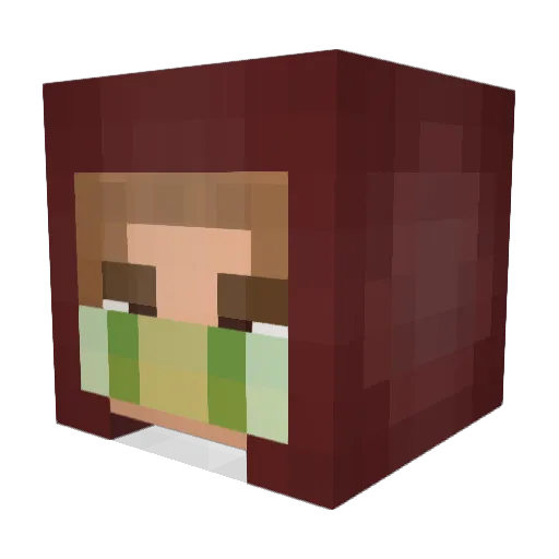 3st3st3st Minecraft avatar head, 3D render