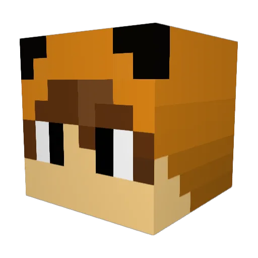 3thane Minecraft avatar head, 3D render