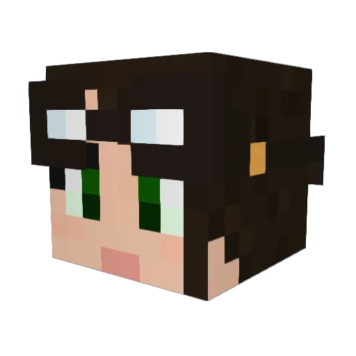 3thenNet Minecraft avatar head, 3D render