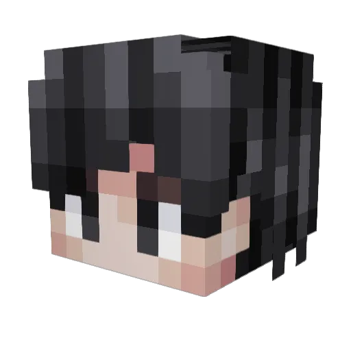 3ugeneS Minecraft avatar head, 3D render
